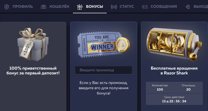 Бонусы Vavada